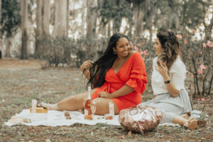 Galentine's Day picnic