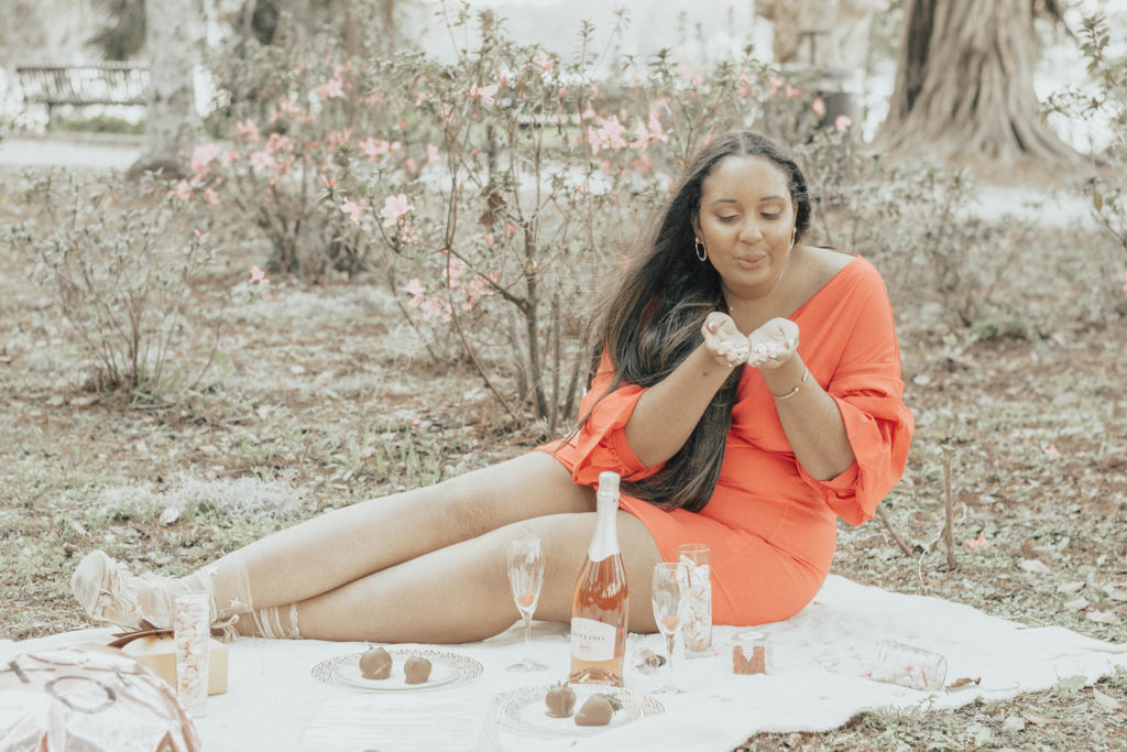 Galentine's Day picnic