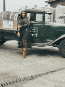 Combo Wine Tour of Napa and Sonoma