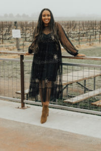 Combo Wine Tour of Napa and Sonoma