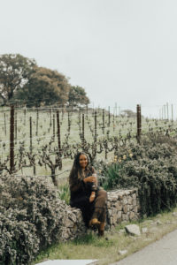 Combo Wine Tour of Napa and Sonoma
