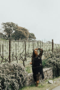 Combo Wine Tour of Napa and Sonoma