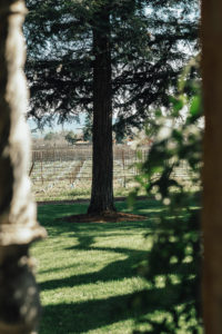 Combo Wine Tour of Napa and Sonoma