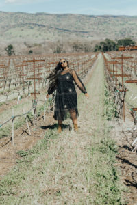 Combo Wine Tour of Napa and Sonoma