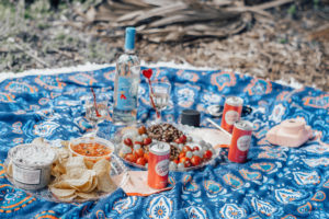 Bougie on a Budget: Having a Picturesque Girls Picnic