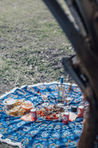 Bougie on a Budget: Having a Picturesque Girls Picnic