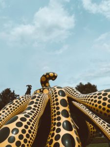 What to do in NYC: New York Botanical Garden (Cosmic Nature Kusama exhibit)
