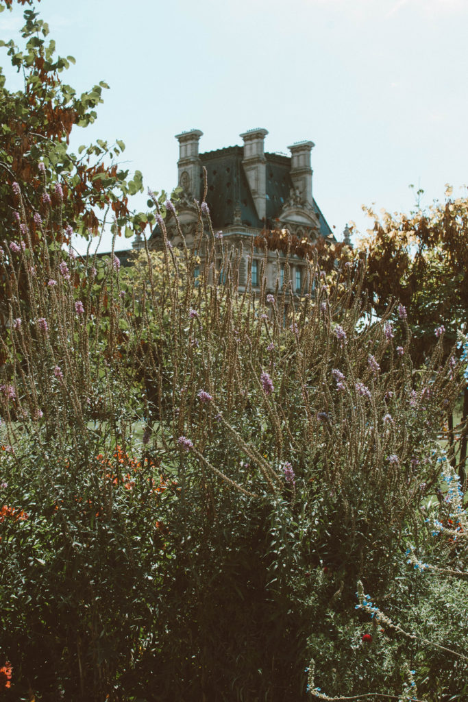 5-Day London Paris Itinerary | view of the Louvre from Jardin des Tuileries